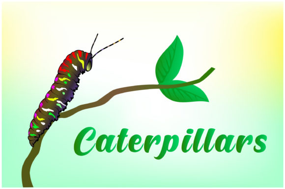 Caterpillars Hand Drawn Illustrations: A Versatile Design Resource Done Right