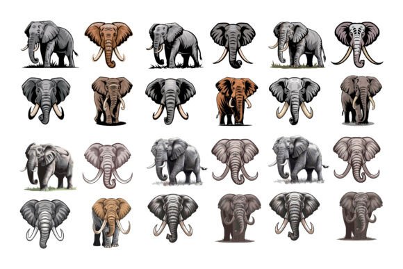Elephant Illustration Vector Collection Guide